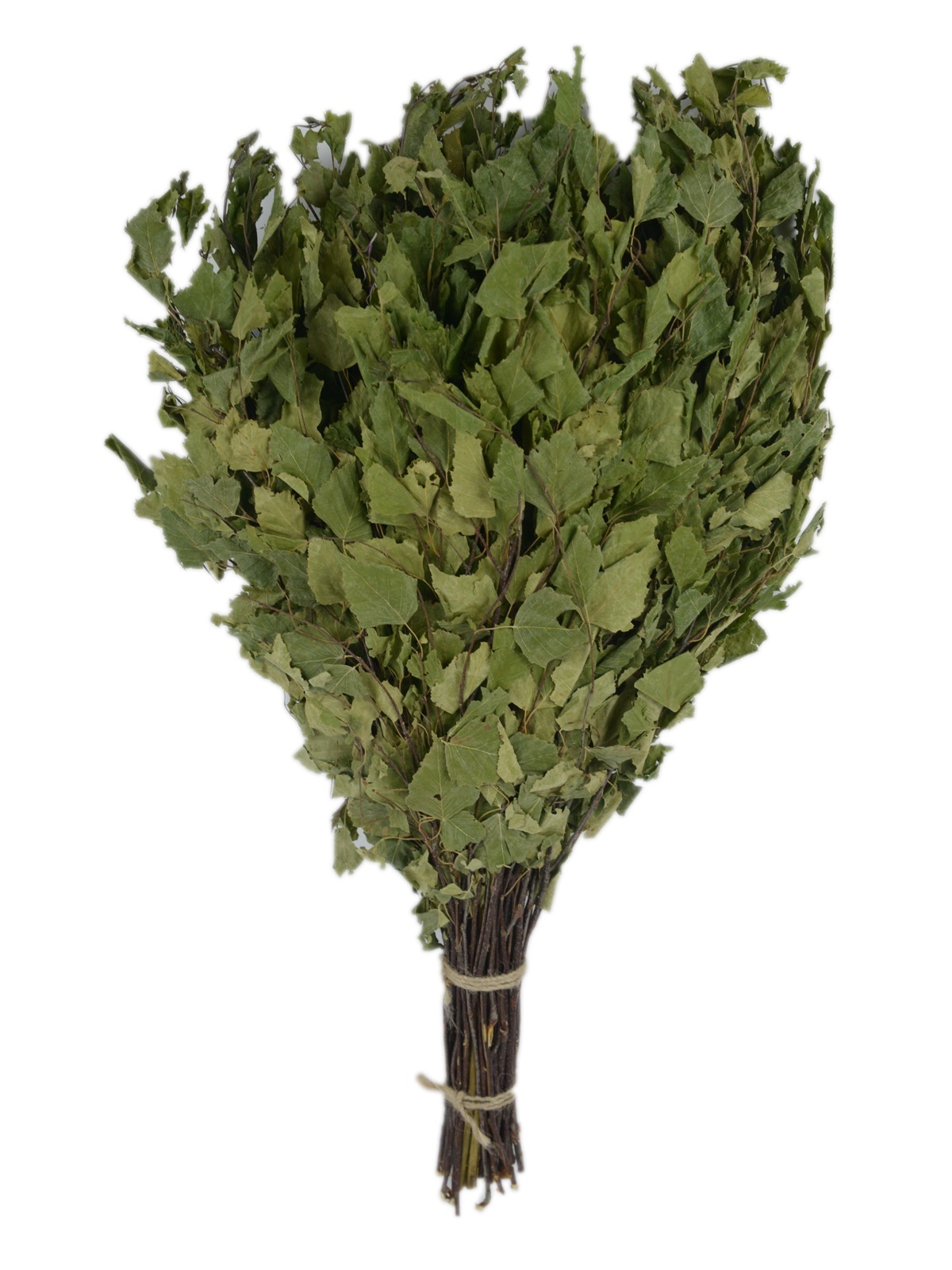 Веник березовый с пижмой TM ”Бацькина баня”/35 - изображение 1