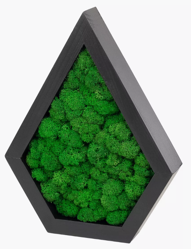 Декоративная полка Капля со мхом 290х220х50 мм, цвет  "Черный"