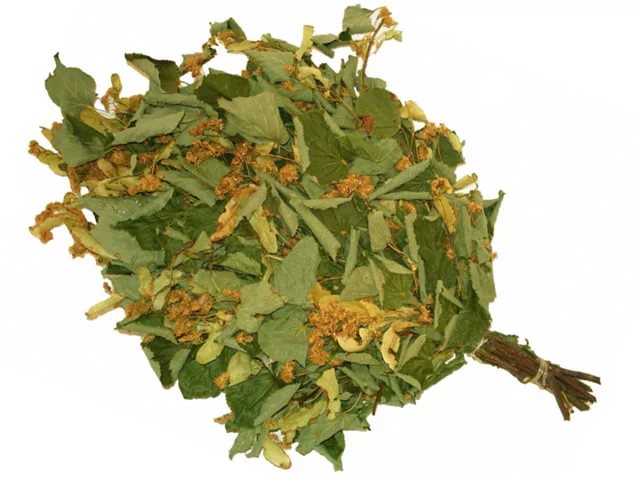 Веник липовый(в упак.) TM ”Бацькина баня”/35 - изображение 2